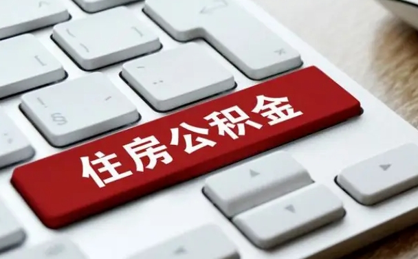 济南公积金公司交的部分怎么提取（公积金提取公司缴纳部分）